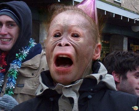 Bienvenue Quincy Monkey