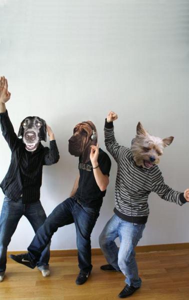 ASH : UNE EQUIPE QUI A DU CHIEN.