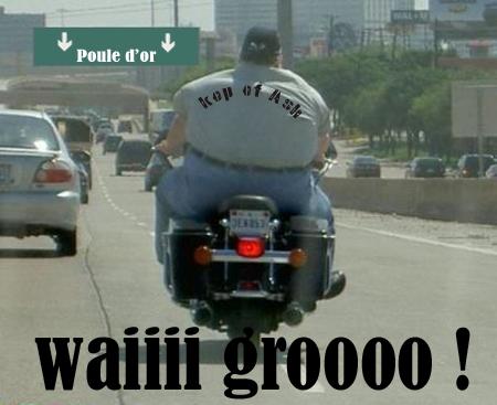 EN ROUTE VERS LA POULE D'OR