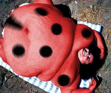 la  coccinelle qui porte bonheur !